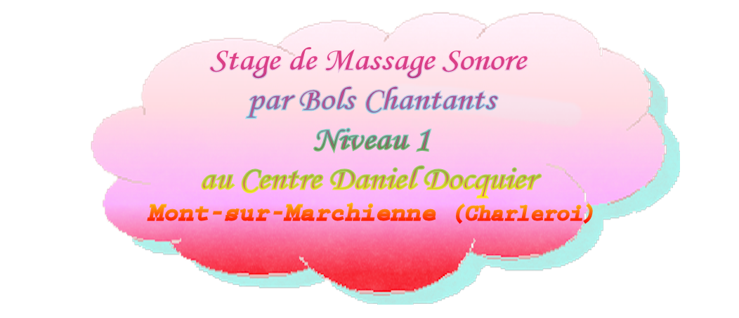 Stage - Centre Daniel Docquier
