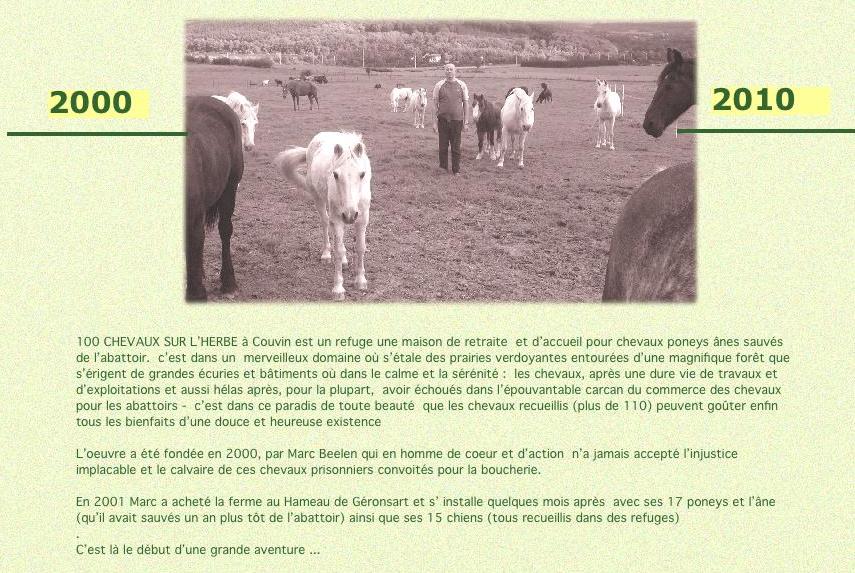Le Refuge 100 Chevaux sur l'Herbe