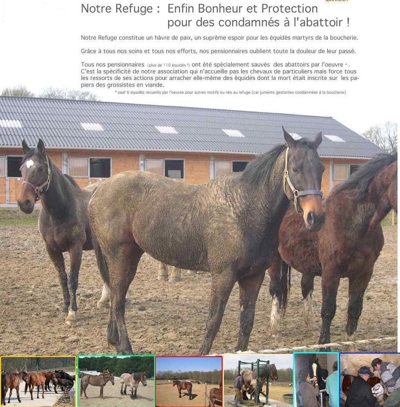Visitez le site web: http://www.100chevaux.org