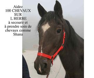 Sauvez Shana