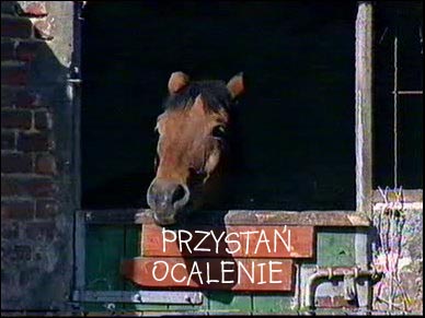 Przystań Ocalenie
